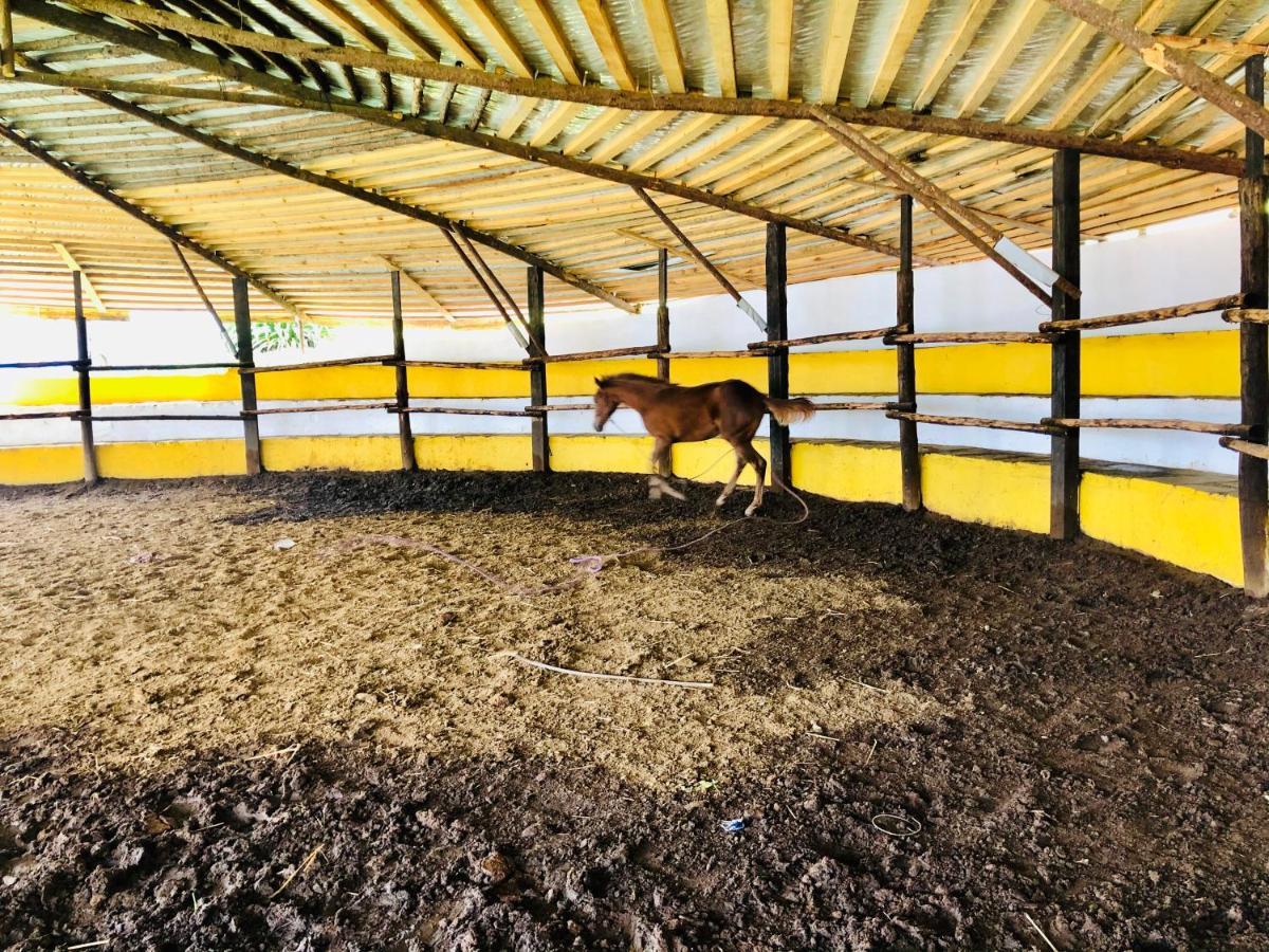 Cabanas El Pajar Zacatlán Extérieur photo